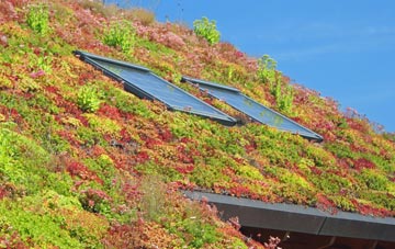 Queenslie living roof systems